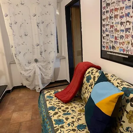 Le Parole Del Gatto *