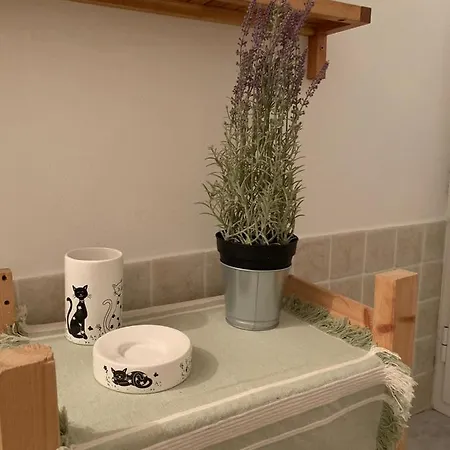Appartamento Le Parole Del Gatto