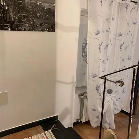 Le Parole Del Gatto *