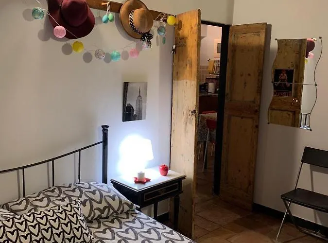 Le Parole Del Gatto