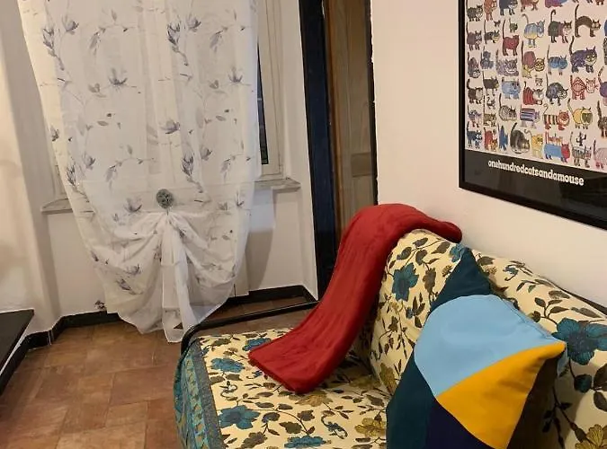 Le Parole Del Gatto *