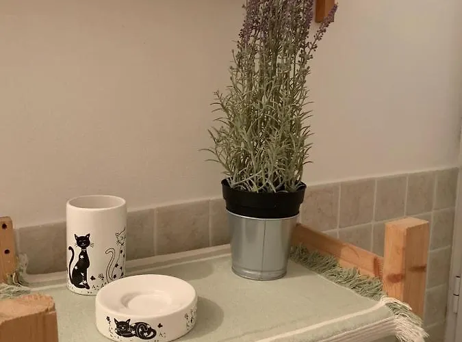 Apartmán Le Parole Del Gatto