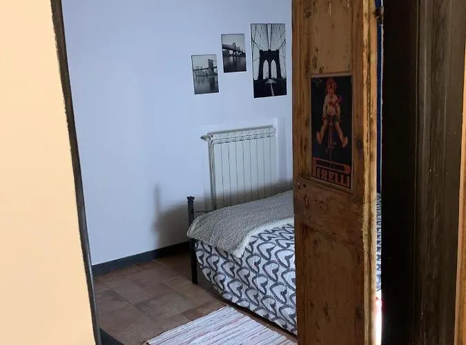 Le Parole Del Gatto *