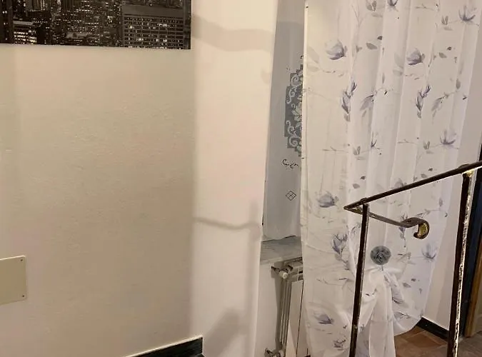 Le Parole Del Gatto *