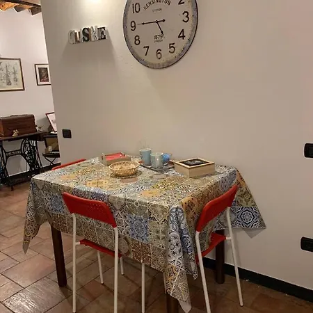 Le Parole Del Gatto *