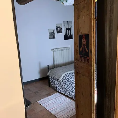 Le Parole Del Gatto *